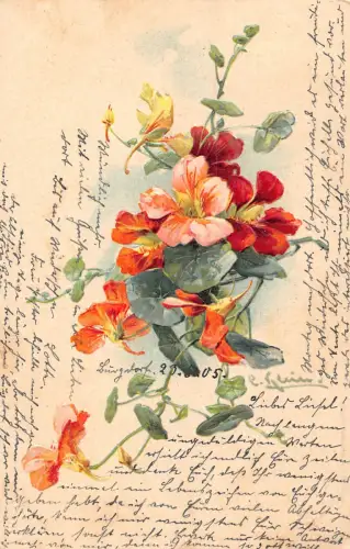 B060 Blumen 1905 Stiefmütterchen geprägt Vintage Postkarte