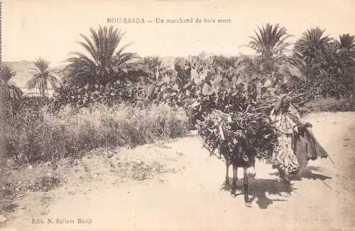 B204 Algerien Bou Saada Un Marchand de bois mort Verkäufer Einheimischer Esel Postkarte