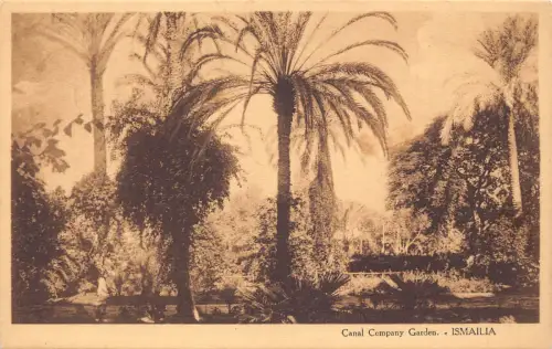 B204 Ägypten Ismailia Canal Company Garten Vintage Postkarte