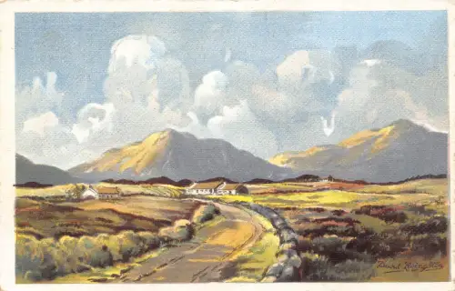 B056 Irland Straße in die Berge Vintage Postkarte