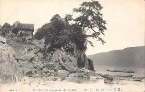 L273 Japan Pine Tree of Kinukake At Tsuruga Boats Vintage Postkarte