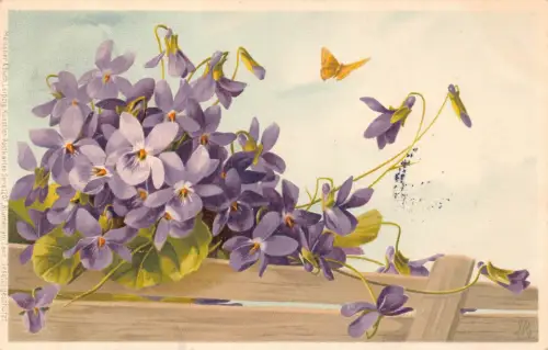 B189 Blumen 1906 Veilchen Schmetterling Natur Vintage Postkarte