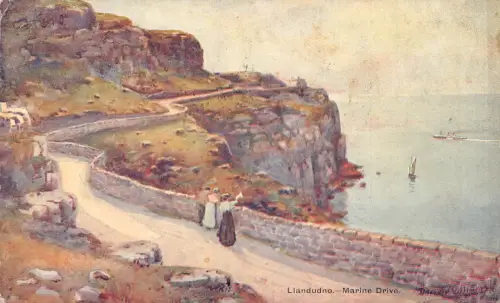 A790 Wales Llandudno 1906 Marine Drive Vintage Postkarte
