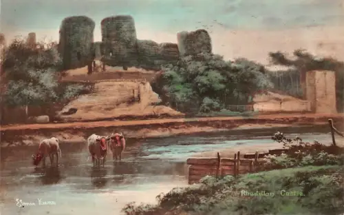 A791 Wales Rhuddlan Castle Bulls Cattle Vintage Postkarte