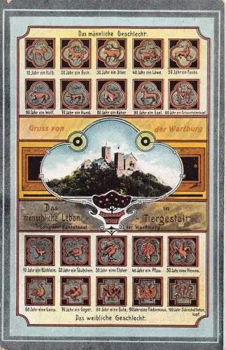 B193 Gruss von der Wartburg 1910 Zitadelle Wappen Vintage Postkarte