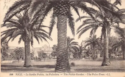 C022 Frankreich, Schön der öffentliche Garten die Palmen Vintage Postkarte