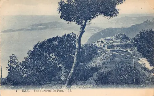 C022 Frankreich, Eze vue a travers les Pins Vintage Postkarte