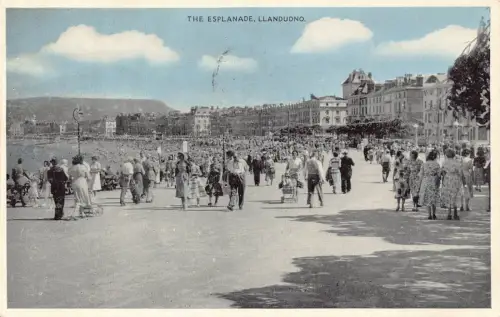 A982 Wales Llandudno 1957 The Esplanade Vintage Postkarte