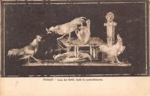 A806 Italien Pompei Casa dei Vetti Galli in combattimento Vintage Postkarte