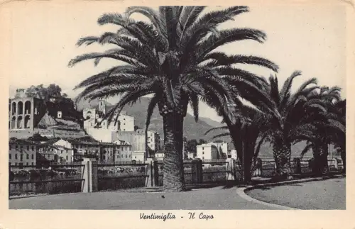 A806 Italien Ventimiglia Il Capo Palmen Vintage Postkarte
