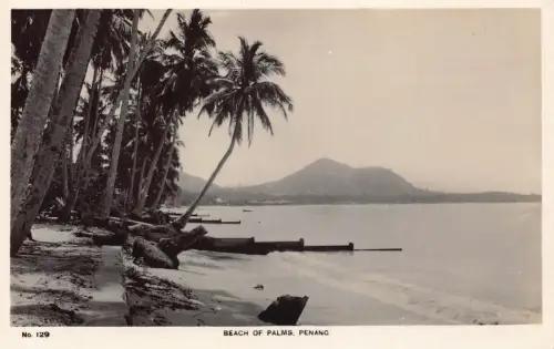 A967 Malaysia Penang Beach of Palms RPPC Vintage Postkarte