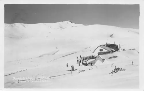 L098 Österreich 1937 Damböckhaus Leute Skifahren, Haus Vintage Postkarte