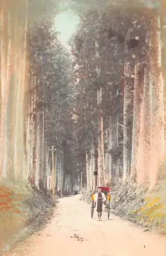 L268 Japan Cryptomeria Road Nikko Rikscha Mann Vintage Postkarte