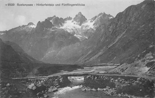 A961 Schweiz Sustenpass Hinterfeldalp und Fuenffingerstoecke Postkarte