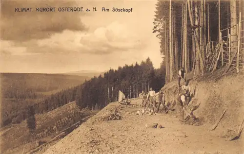 L123 Deutschland 1915 Klimat Kurort Osterode Arbeiter Industrie Vintage Postkarte