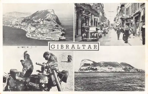 A931 Gibraltar Multi-View Affen Autos Motorrad RPPC Vintage Postkarte