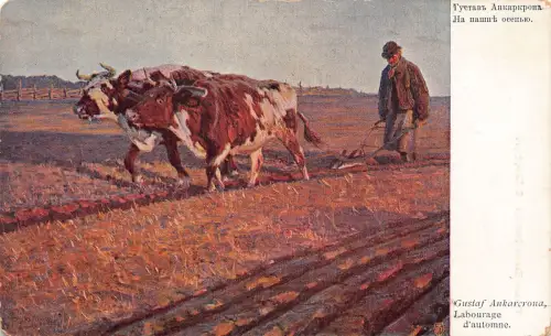 A931 Russland Kunst Gustaf Ankarcrona Herbstpflug Kuh Landwirtschaft Vintage Postkarte