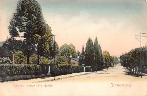 A985 Südafrika 1904 Johannesburg Saratoga Avenue Doornfontein Postkarte