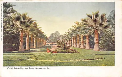 A194 US Kalifornien Los Angeles Winterszene Eastlake Park Vintage Postkarte