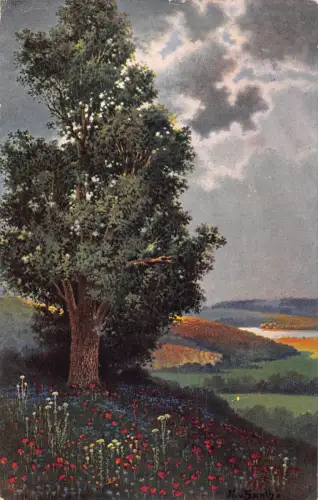 A195 Landschaft 1911 hoher Baum Blumen Wolken Tal Vintage Postkarte