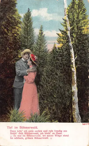 Tief im Böhmerwald Paar im Wald Romantische Vintage Postkarte