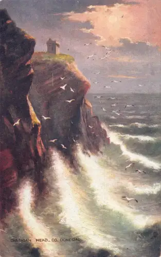 A198 Irland 1912 Carrigan Head Co Donegal Wellenvögel Vintage Postkarte