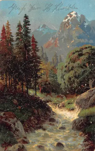 A198 Waldlandschaft 1905 Berge Flusstal Felsen Bäume Vintage Postkarte