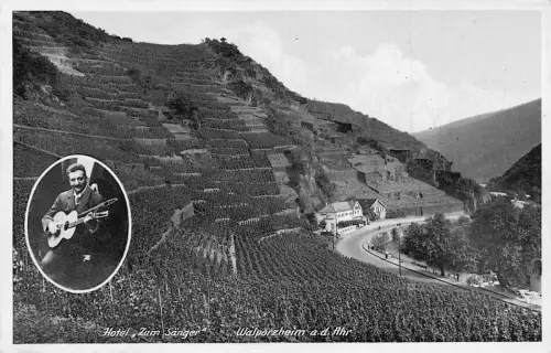 B091 Deutschland Hotel Zum Saenger Walporzheim ad Ahr Gitarrist RPPC Postkarte