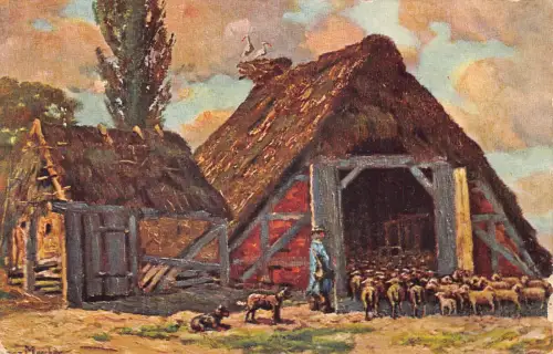 A202 Countryside 1908 Shepherd Dog Sheeps Farm Vintage Postkarte