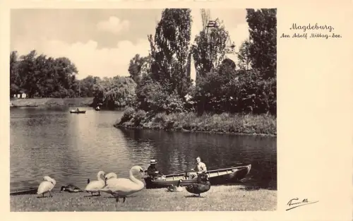 L206 Deutschland Magdeburg am Adolf Mittag See Boot Schwäne Vintage Postkarte