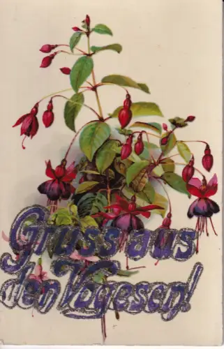 B080 Neuheit Glitzer Frankreich Gruss aus Vogesen Vogesen Blumen Vintage Postkarte