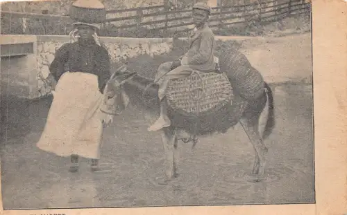 B078 Südafrika geht auf den Markt Eingeborene Junge reitet Esel im Kanal Postkarte