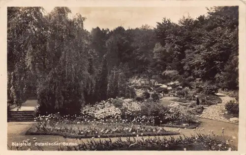 A211 Deutschland 1929 Bielefeld Botanischer Garten RPPC Vintage Postkarte