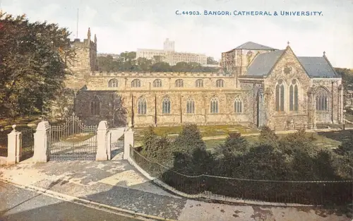 L245 Wales Bangor Kathedrale und Universität Vintage Postkarte