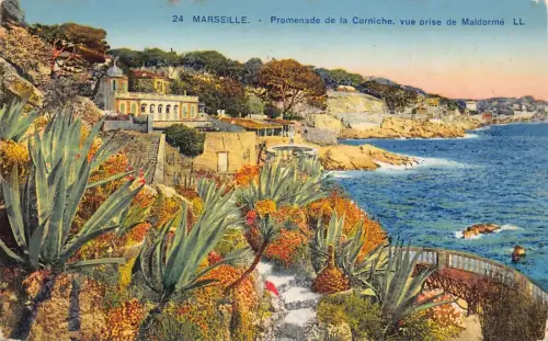 L096 Frankreich Marseille Corniche Promenade Maldorme Pflanzen Vintage Postkarte
