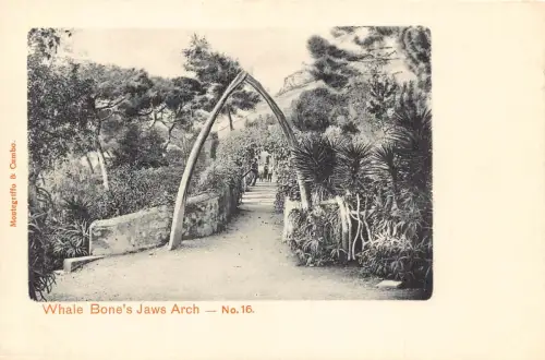A189 Gibraltar Whale Bone's Jaws Arch Vintage Postkarte