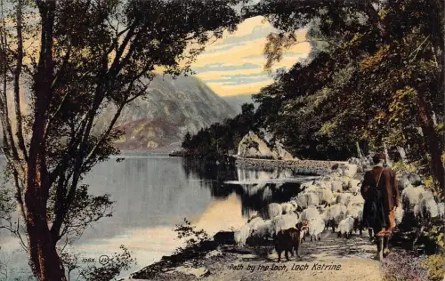 A032 Schottland Pfad am Loch Katrine Schaf Schäferhund Postkarte