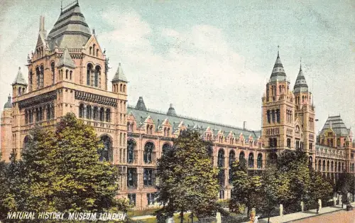 A023 England London Natural History Museum Vintage Postkarte