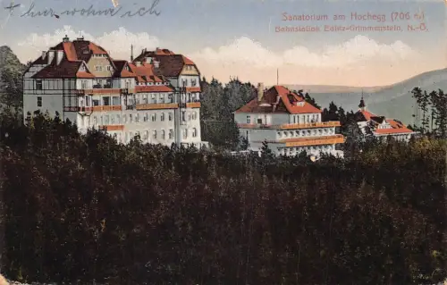 C041 Österreich, Sanatorium am Hochegg 1921 alte Postkarte