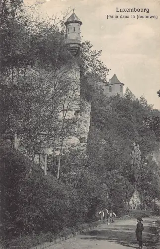 B215 Luxemburg Partie dans le Neuenweg Vintage Postkarte