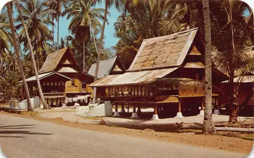 B219 Singapur typisch malaiisch Attap Haus Malakka Malaya Vintage Postkarte