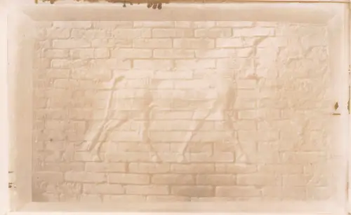 B224 Irak Tiermotiv an der Wand des Ischtar-Tors Babylon RPPC Postkarte