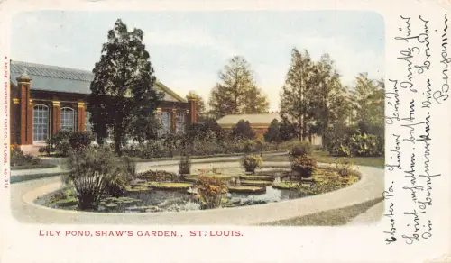 A193 USA 1902 Missouri St Louis Lily Pond Shaw's Garden Private Mailing Postkarte
