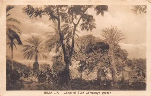 Ägypten Ismailia Kanal von Suez Company Garten Vintage Postkarte