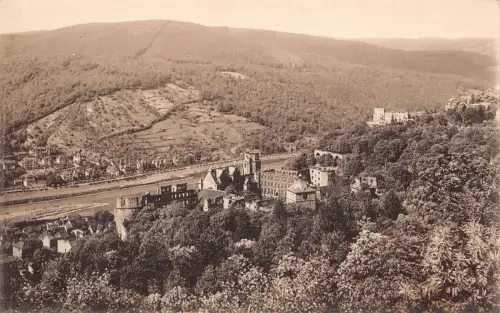 A026 Deutschland Heidelberger Schloss von Molkenkur aus gesehen Vintage Postkarte