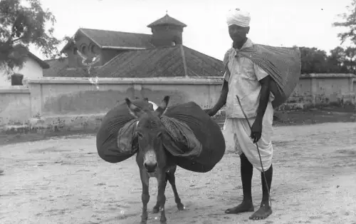 A833 Indien Dohki Bhiwani Esel ethnischer Mann Ureinwohner RPPC Postkarte