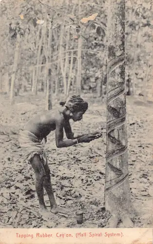 A833 Ceylon Sri Lanka Klopfen Gummi Halbspirale System Ethno Mann Postkarte