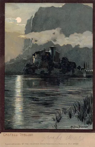 Italien Castell Toblino signiert Diemer Vintage Postkarte