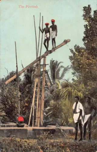 L542 Indien Madras Die Picottah Ureinwohner ethnische Vintage Postkarte