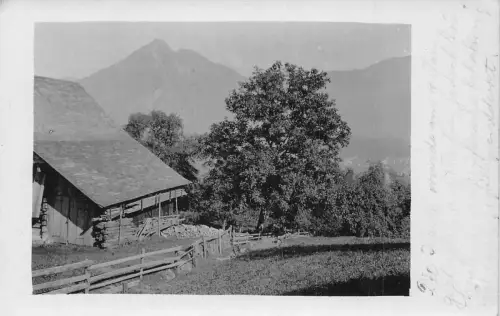 A113 Schweiz 1911 Liestal Hütte Bäume Bergblick RPPC Vintage Postkarte